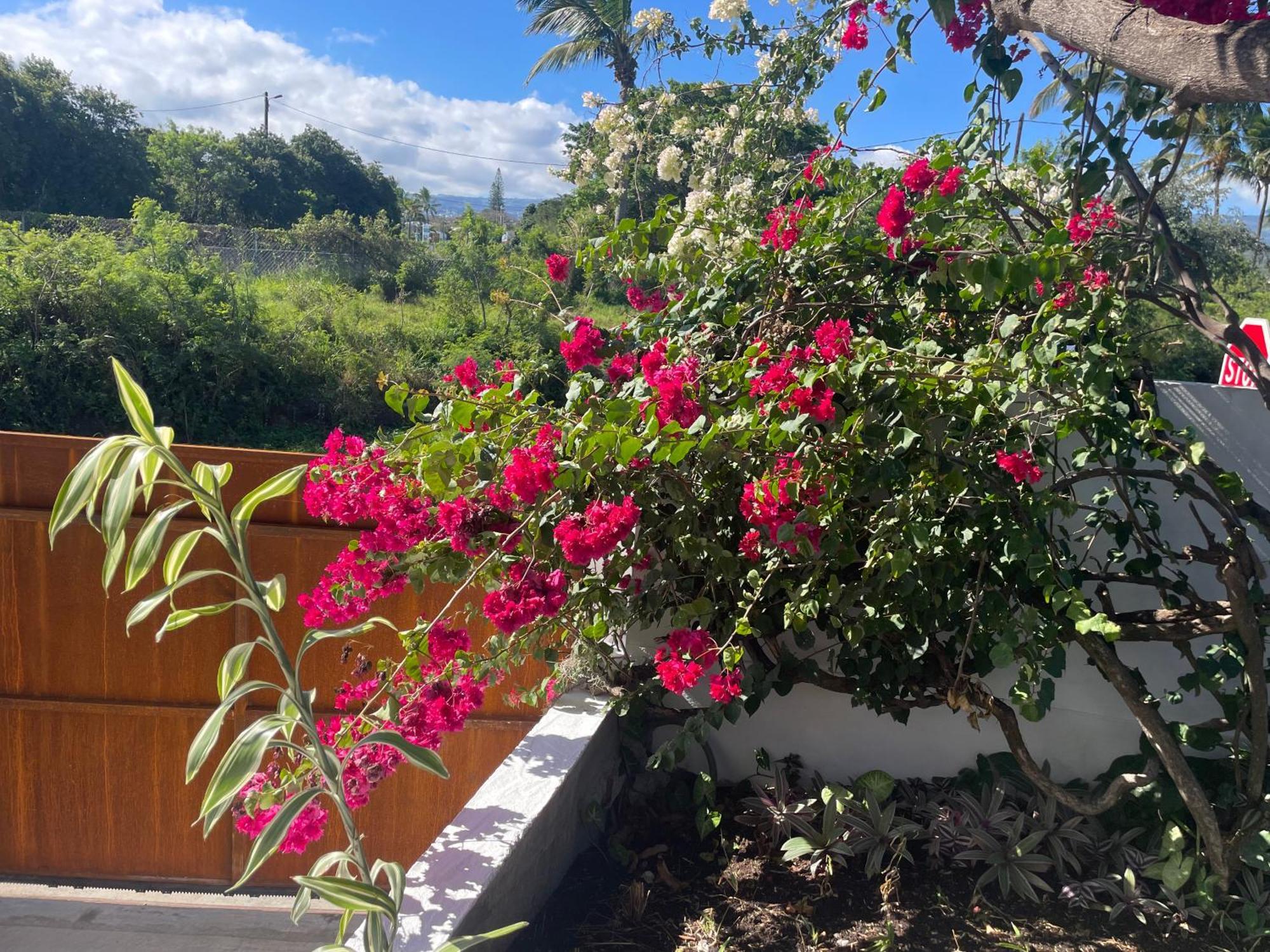 Villa Mya Location سانت بيير المظهر الخارجي الصورة