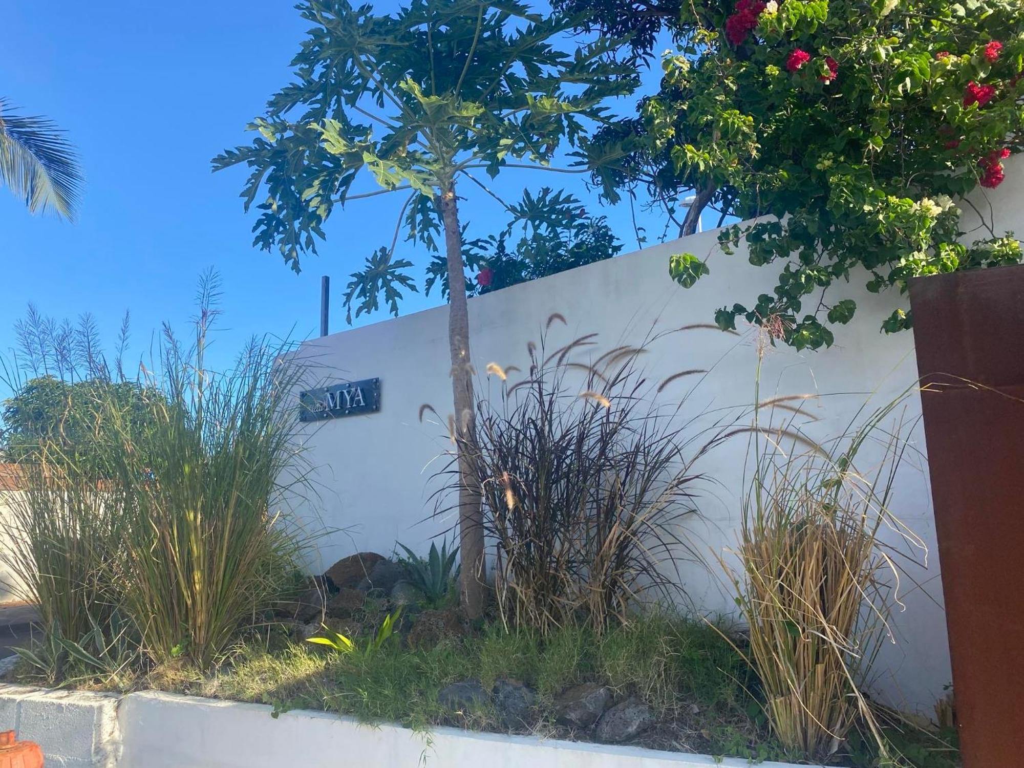 Villa Mya Location سانت بيير المظهر الخارجي الصورة
